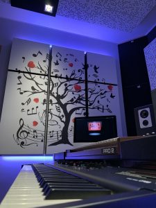 pannelli fonoassorbenti stampati per home studio