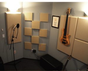 Auralex Elite Pro Panels