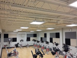 Auralex Elite Pro Panels