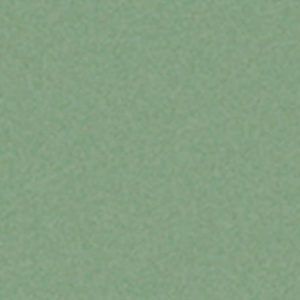 Colore poliuretano Verde Chiaro