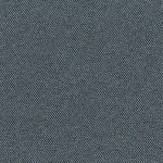 CSE44-Elapse