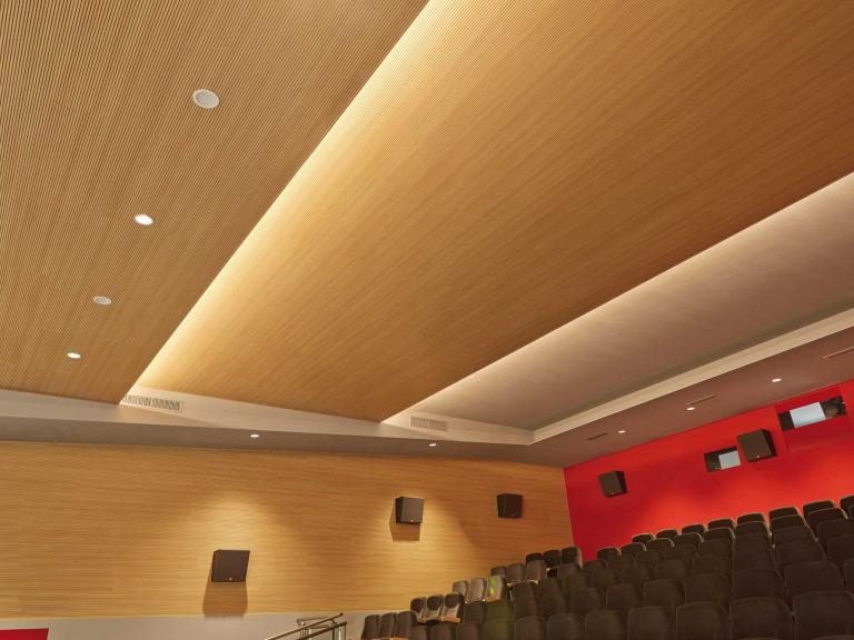 Pannelli fonoassorbenti Softsound Soft Top - Soft Top Soffitto 2