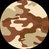 Camo Desert