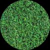 Green 1