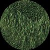 Green 2