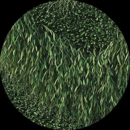 Swatch tappezzeria decorativa BuzziSkin Printed Green 2