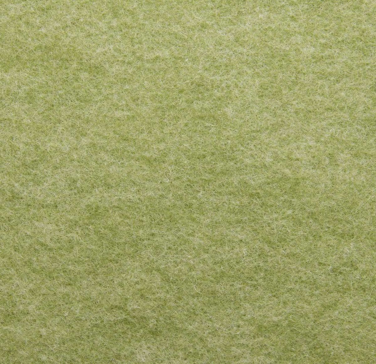 Colore Avocado - AVOCADO_VR-17