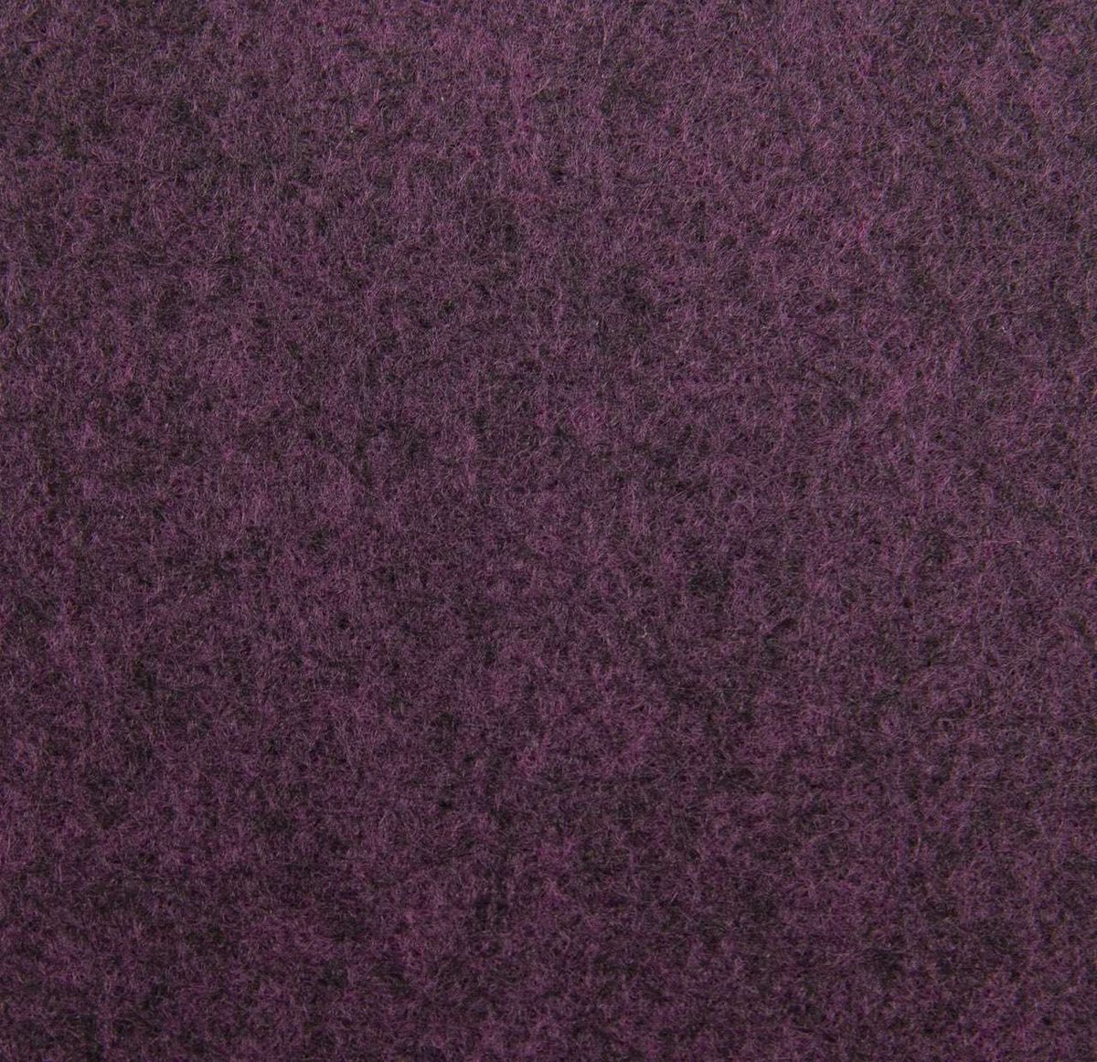 Colore Dark Grape - DARK-GRAPE_RS-67