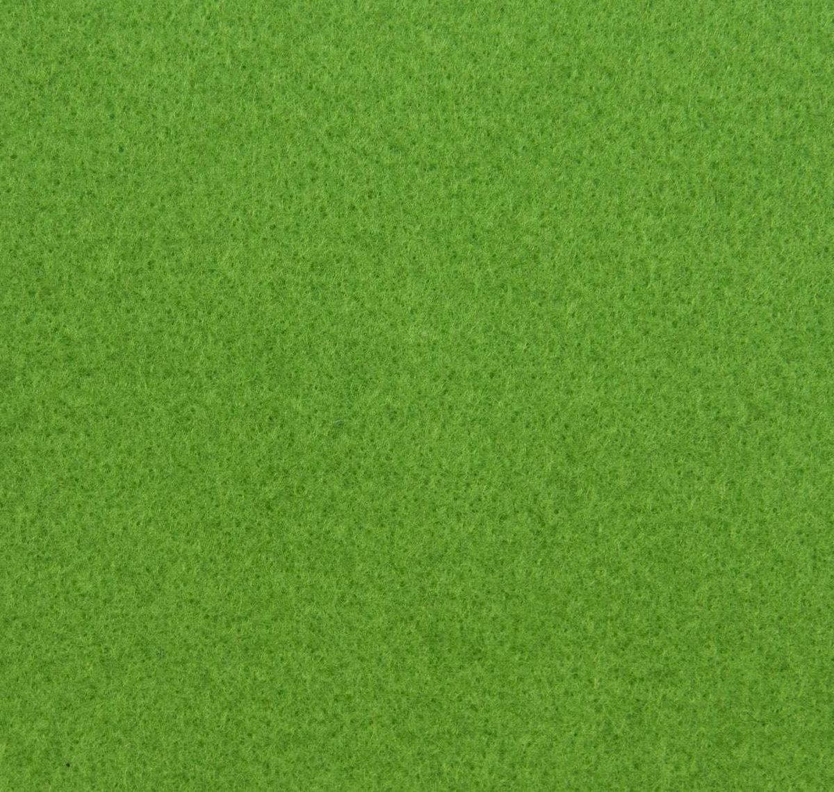 Colore Forest Green - 447