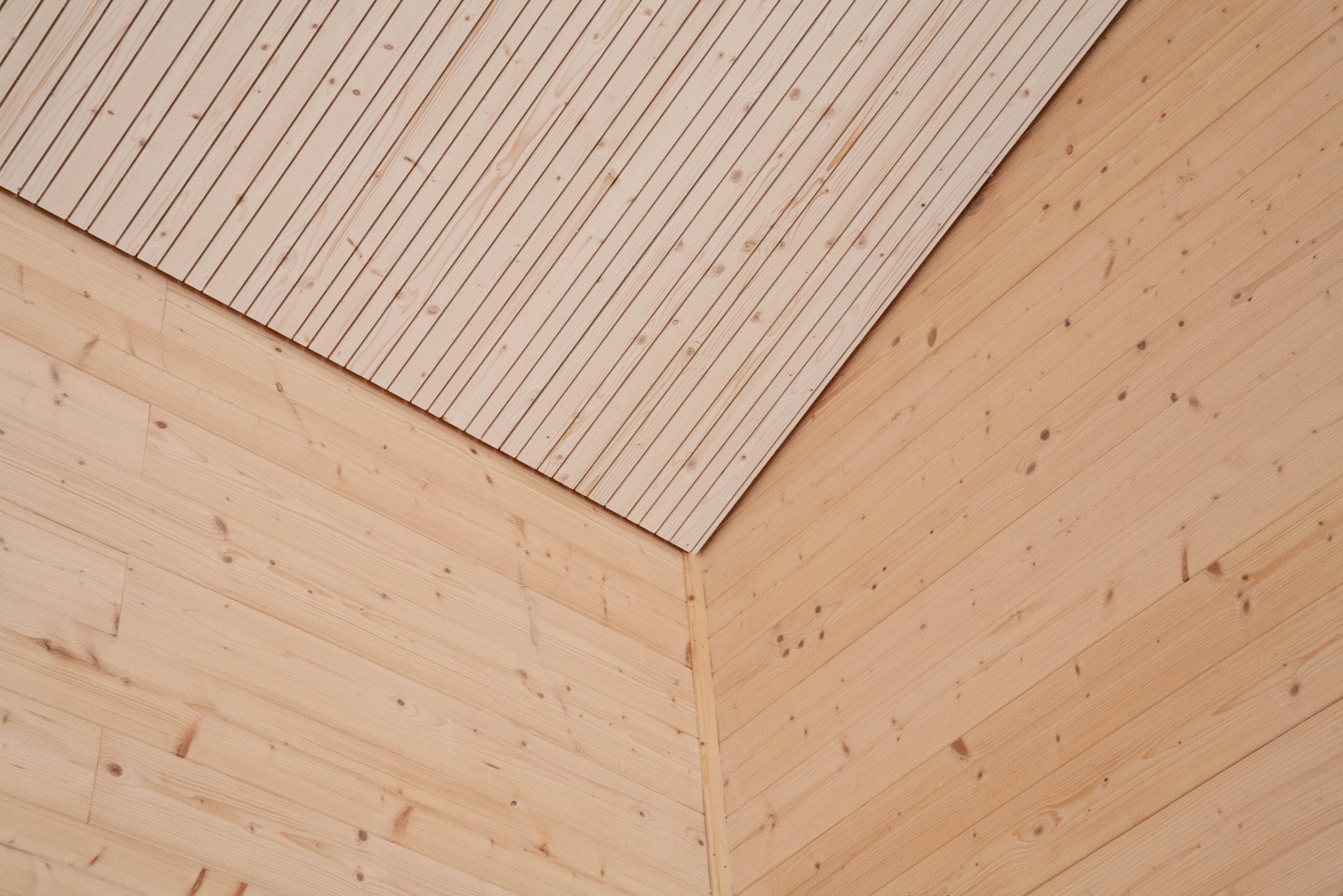Dettaglio del soffitto in legno della sala di Borgo Tignano