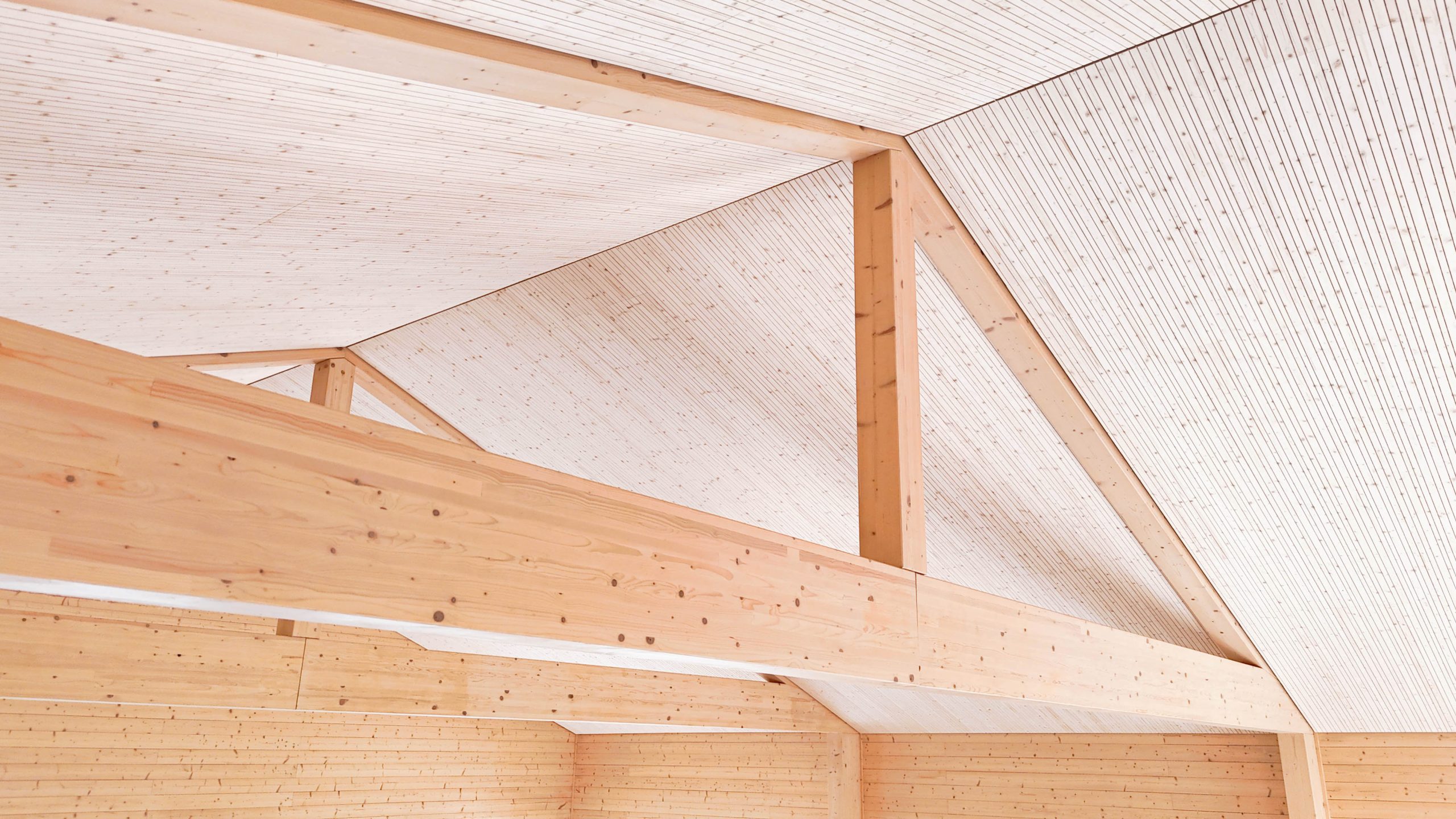 Vista del soffitto in doghe di legno Lignotrend a Borgo Tignano