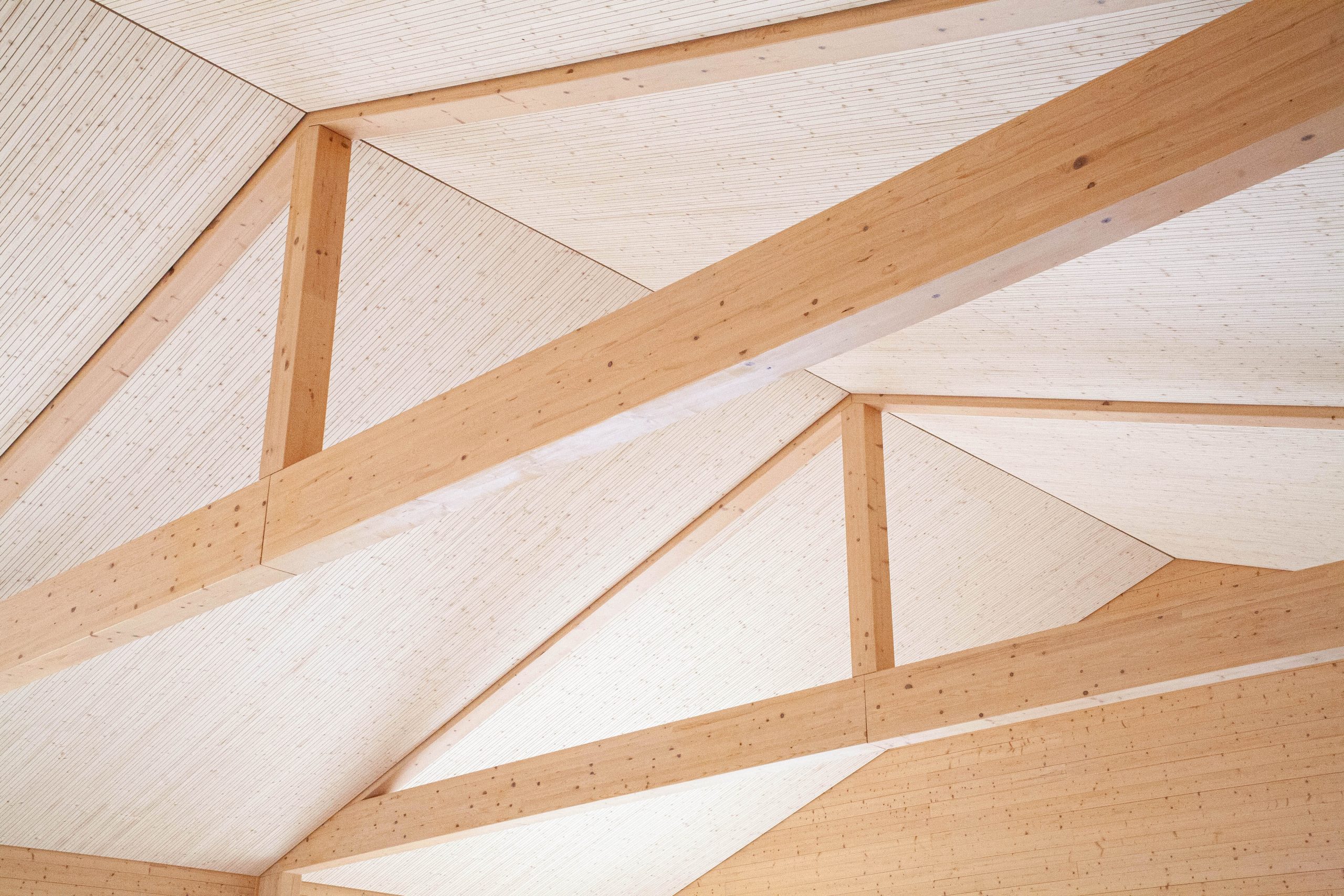 Vista del soffitto in doghe di legno Lignotrend a Borgo Tignano