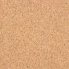 007 Plain Cork